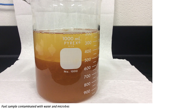 Power Service Clear Diesel Fuel sample contaminated with water and microbes