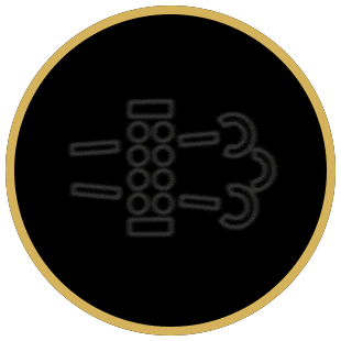 RL-DIDF-core4-flashing-reg