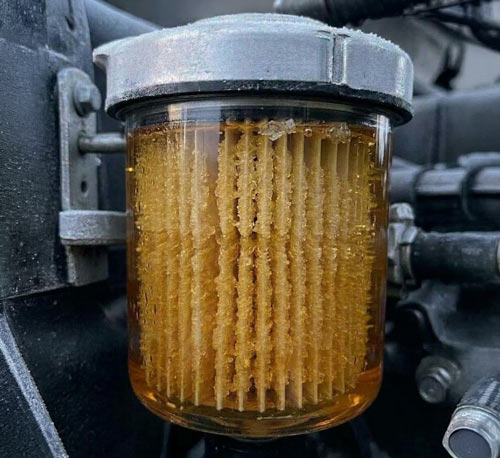 frozen diesel fuel filter